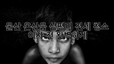 울산 온산읍 삼평리 전세 청소: 이사 전 완벽하게! ✨