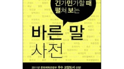 내 인생 바꾼 국어사전? 바른국어사전 후기 & 꿀팁 대방출!