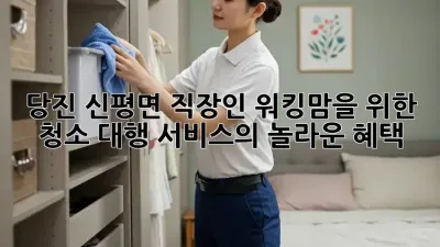 당진 신평면 직장인, 워킹맘을 위한 청소 대행 서비스의 놀라운 혜택!